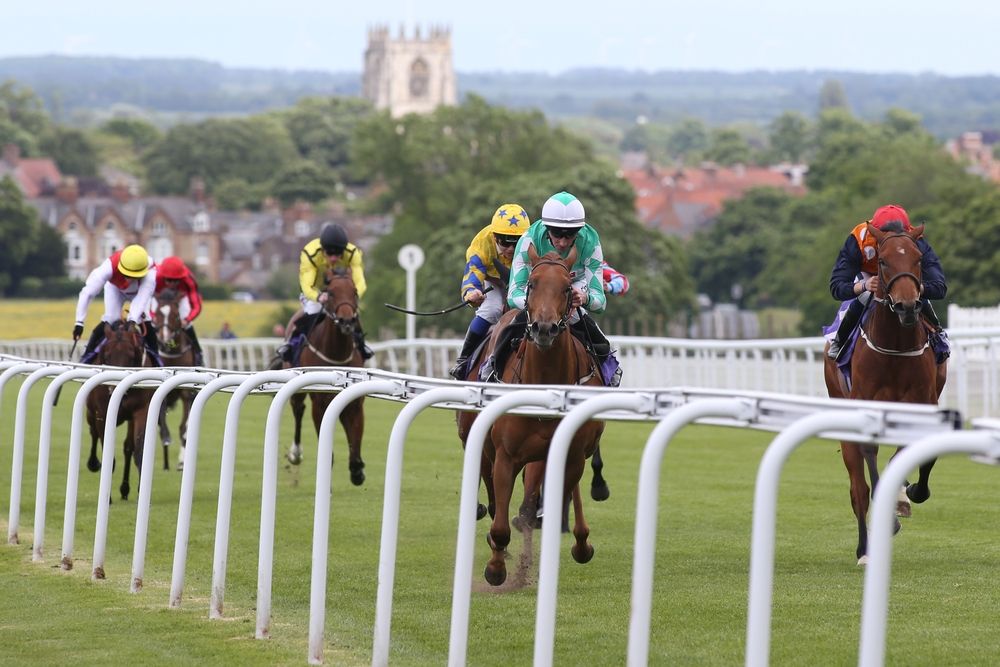 beverley racecourse