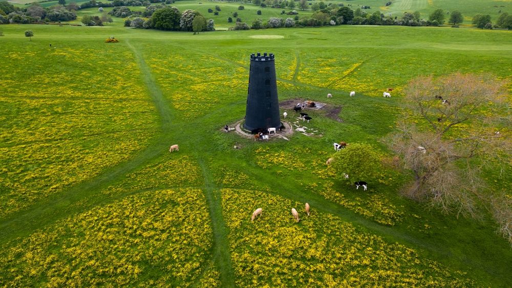 Beverley common drone